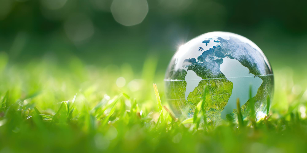 Kraftora Global